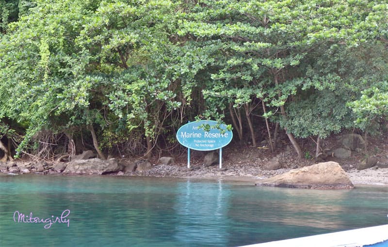 Snorkeling in the Natural Marine Reserve, Jalousie Beach, Spencer Ambrose Tours, St. Lucia