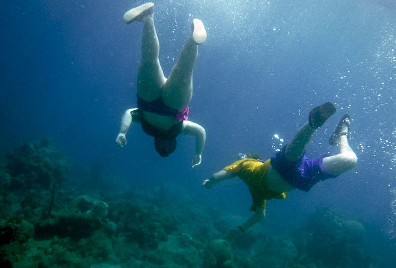 An underwater snorkeling adventure on Spencer Ambrose Tours, St. Lucia
