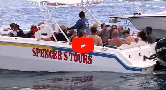 Spencer Ambrose Boat Tours Video